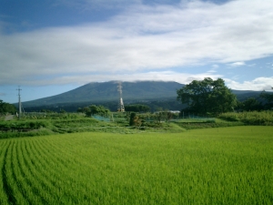 八ヶ岳の夏