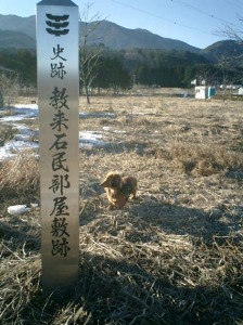 レオと武田信玄 レオと武田信玄