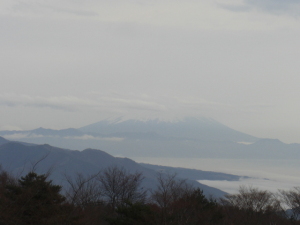 ぼんやり富士山
